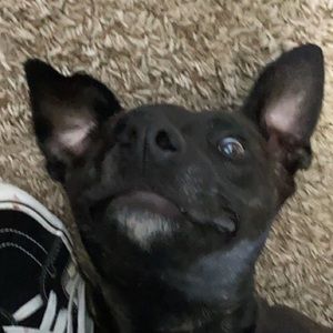 Meet your Posher, Jonathan